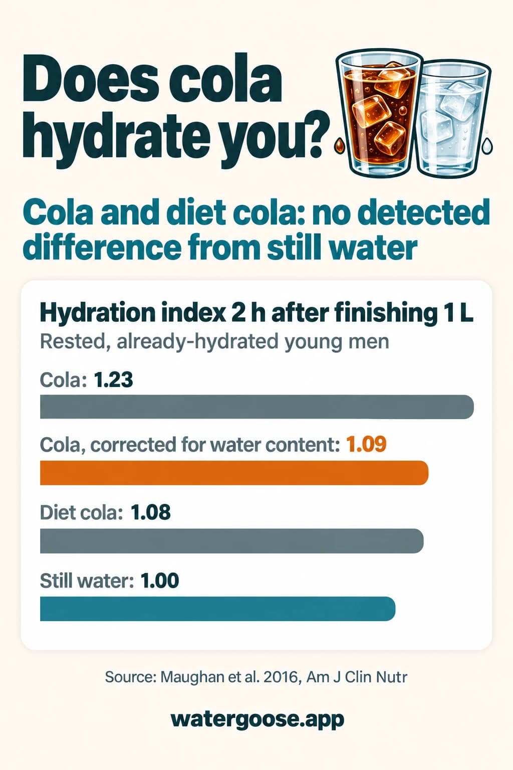 Bar chart of the hydration index 2 h after finishing 1 L in rested, already-hydrated young men: cola 1.23, cola corrected for water content 1.09, diet cola 1.08, still water 1.00. Cola and diet cola showed no detected difference from still water.